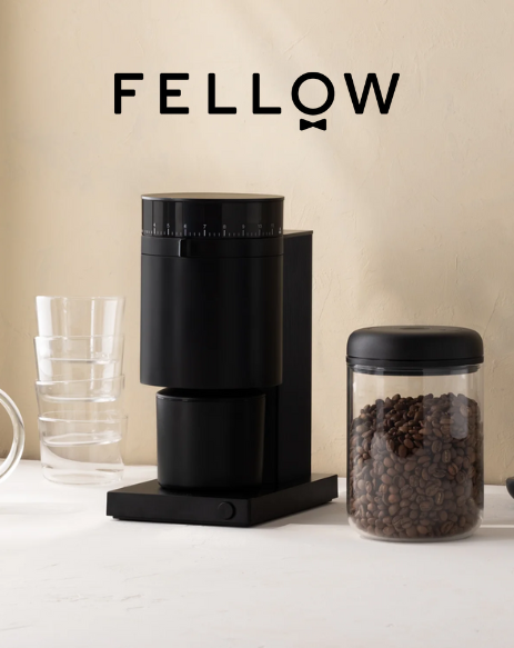 Fellow