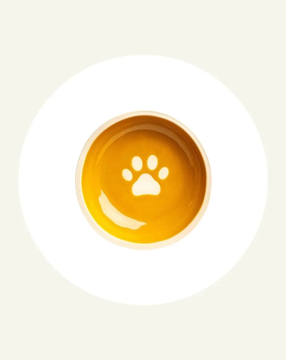 Pet Accessories