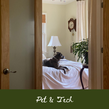Pet & Tech