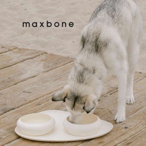 maxbone