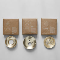 Brass Frogs