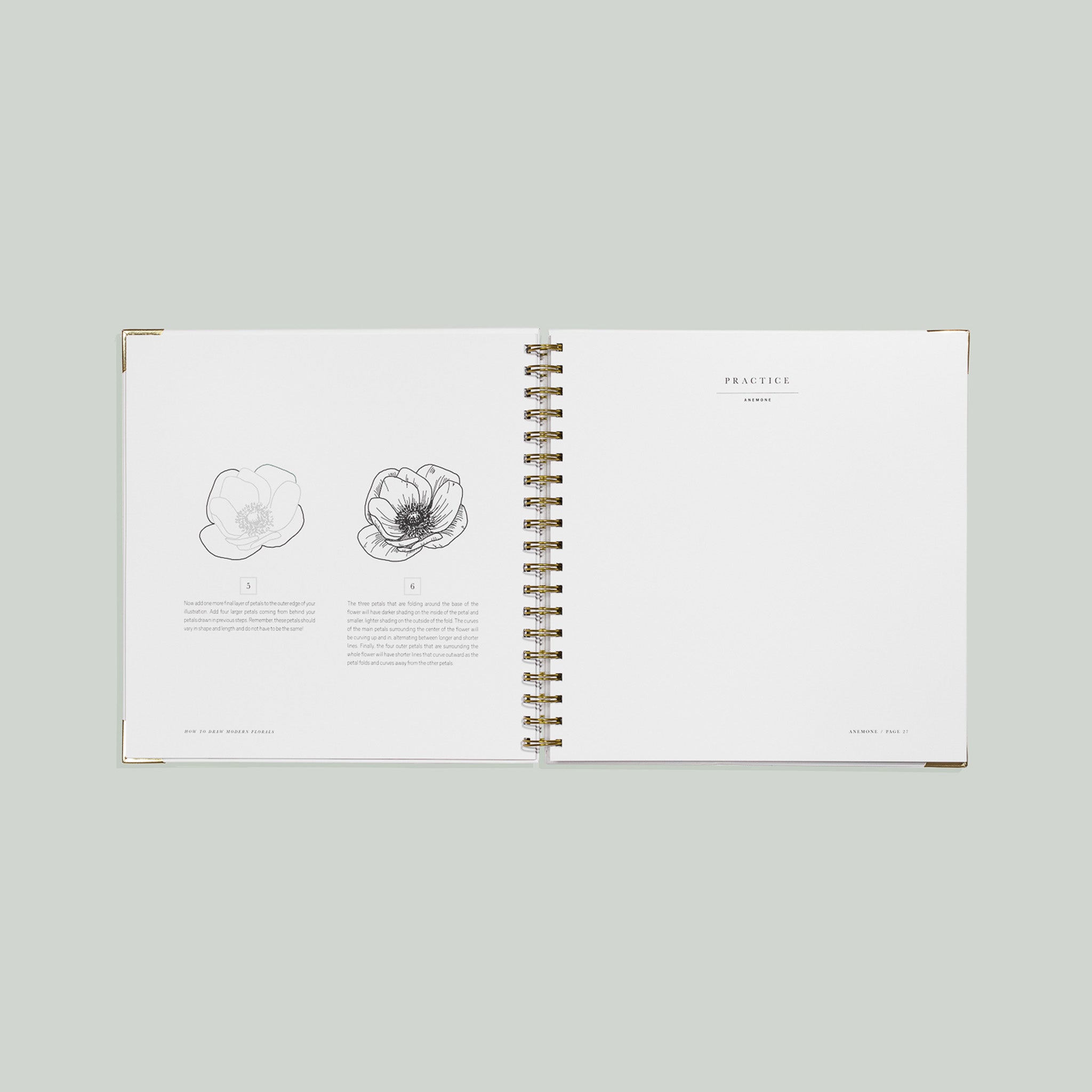 How To Draw Modern Florals (Spiral Bound)