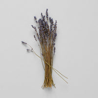Dried Lavender