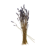 Dried Lavender