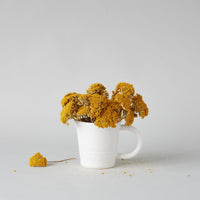 Dried Natural Yarrow