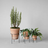 Whitewash Terracotta Studio Planter