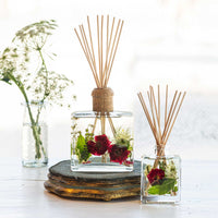 Accent Botanical Reed Diffuser - Winterberry Frost