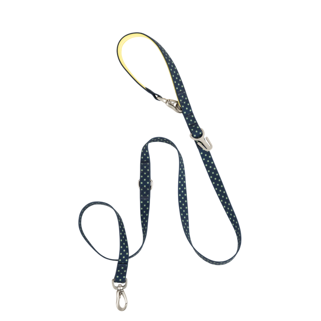 Waterproof Dog Leash - 5ft