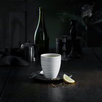 Teck Tumblers (Set of 4)