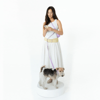 Hands-Free Dog Walking Bag with 3.25ft Leash