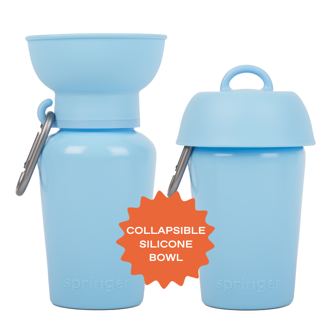 20oz Flip Dog Travel Water Bottle