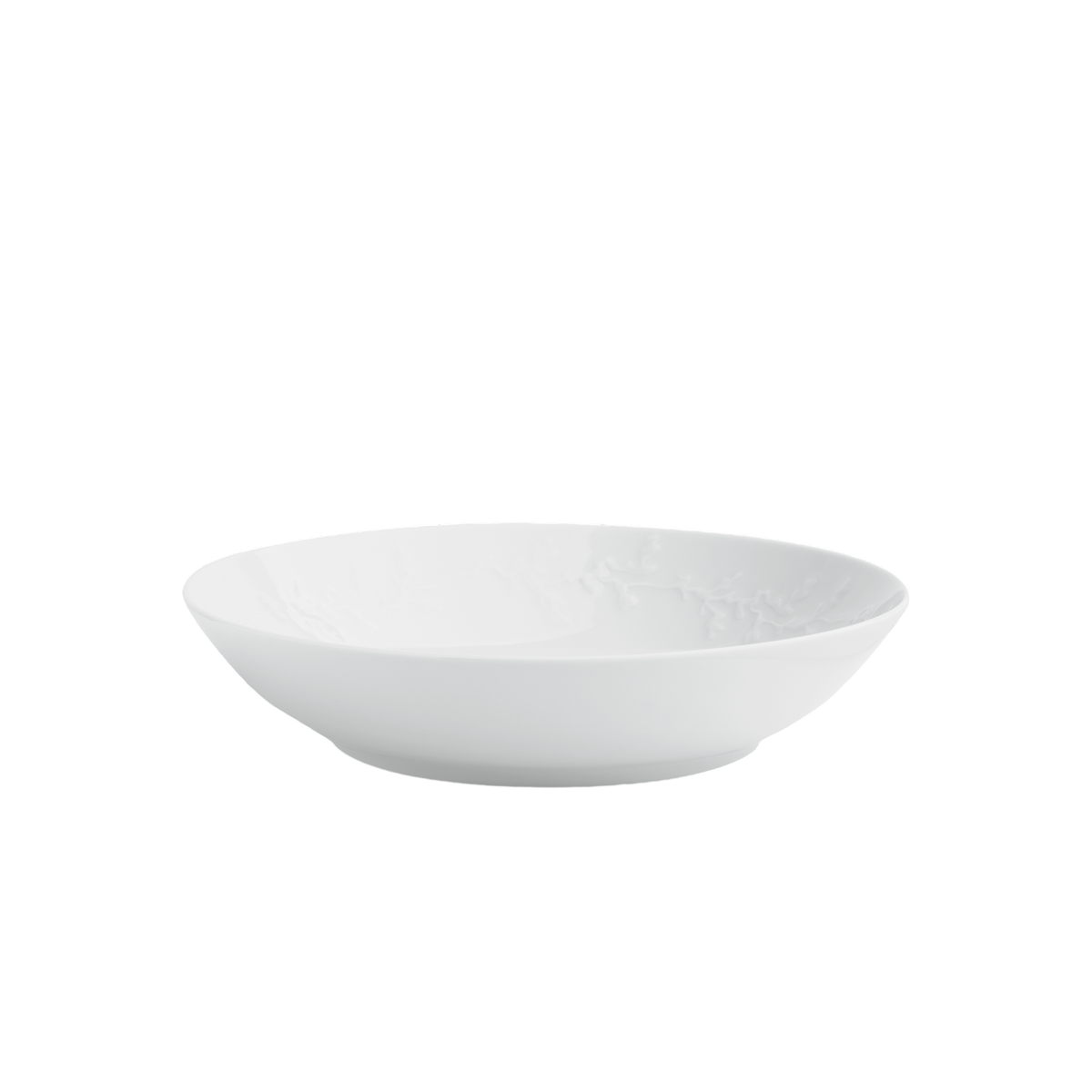 Aqua 1900 9" Shallow Bowls (Set of 4)