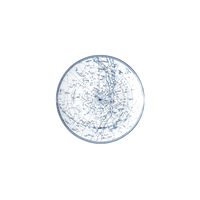 Constellation Plate 8.25"