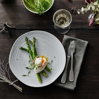 Teck 11" White Dinner Plates (Set of 4)