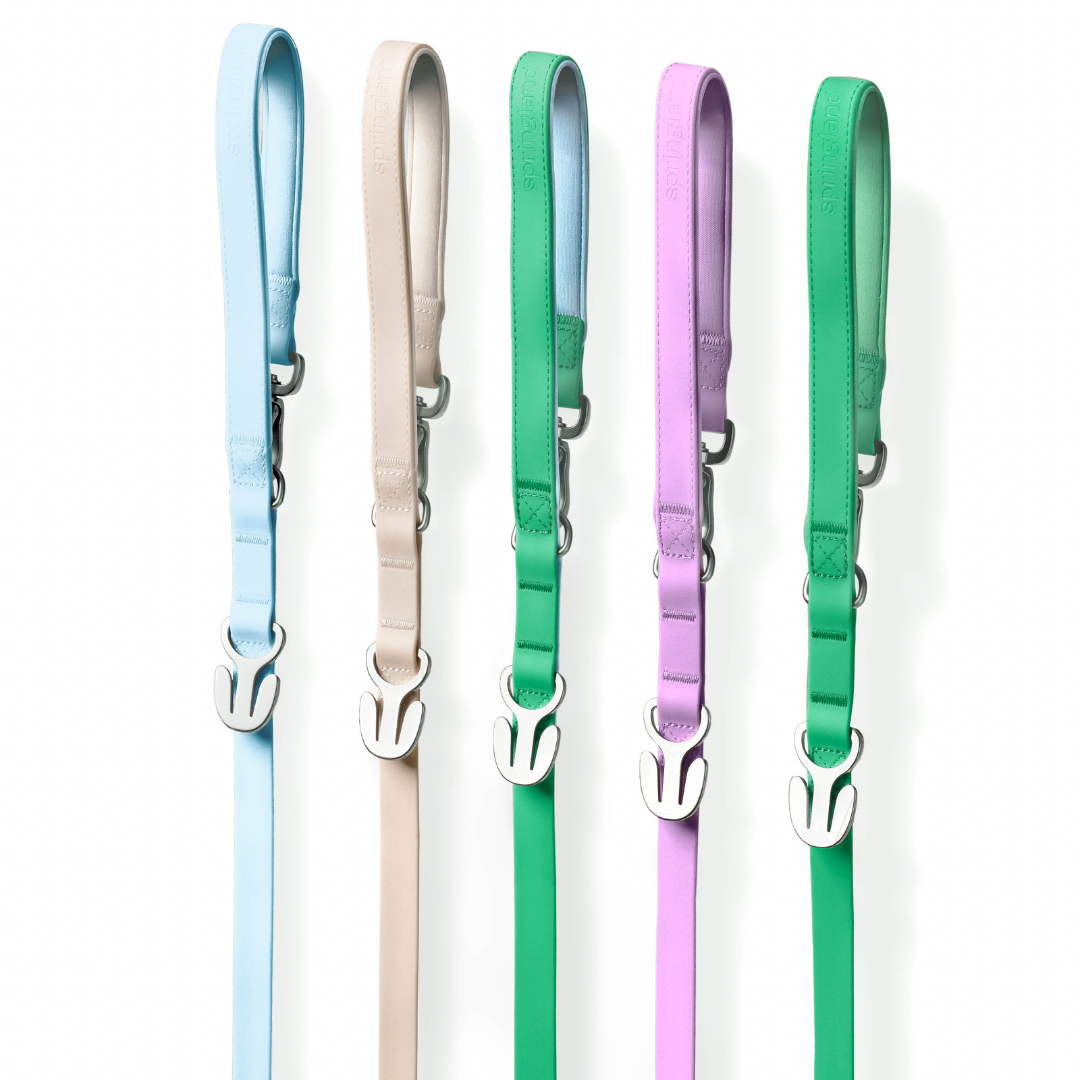 Waterproof Dog Leash - 5ft