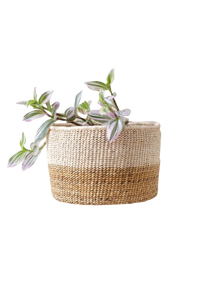 Two-Tone Banana Leaf Small Basket