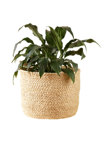 Braided Raffia Planter