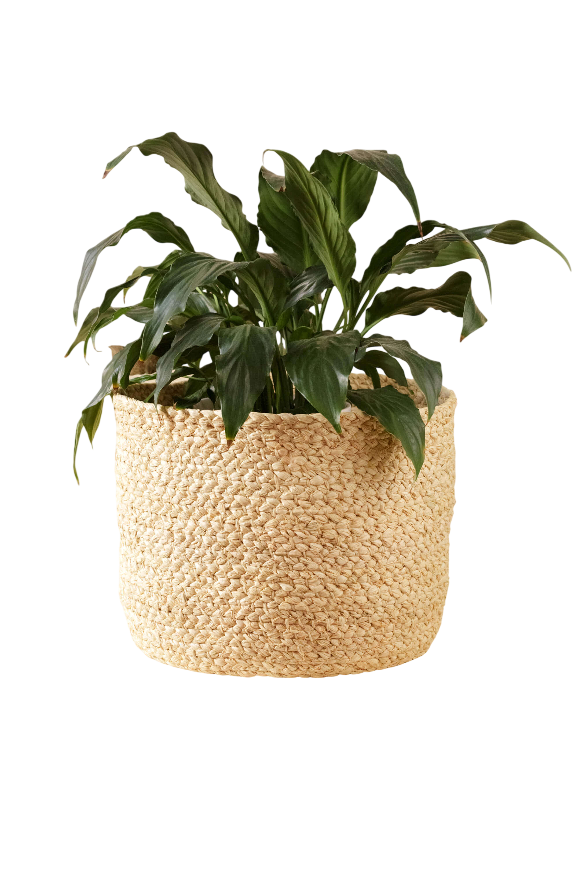 Braided Raffia Planter