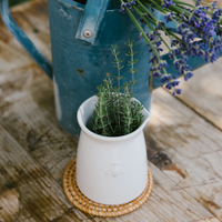 Bee Ceramic Creamer — Set of 1