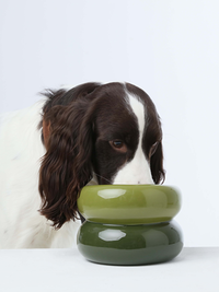 Soufflé Pet Bowl - Avocado Green