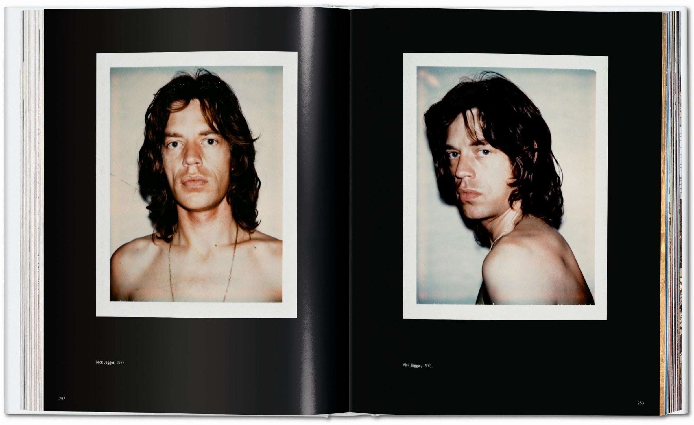 Andy Warhol. Polaroids 1958-1987 (German, French, English)