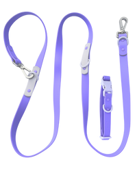 Fritz Collar + Leash Walk Set