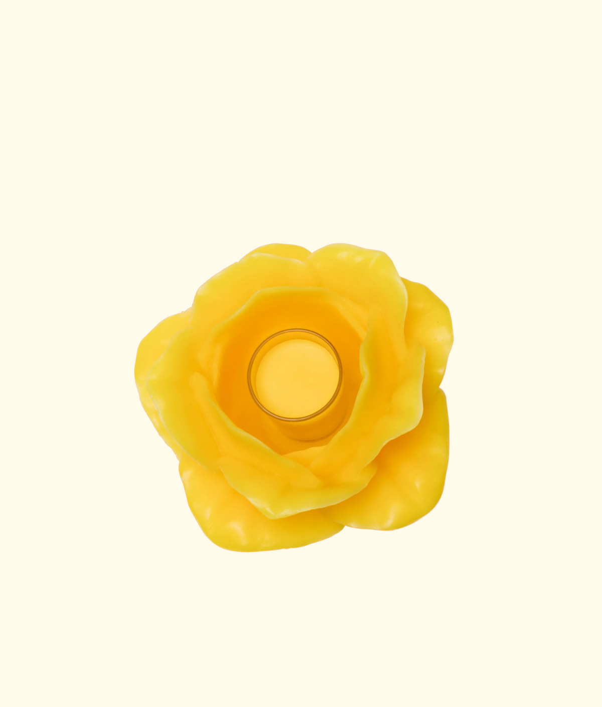 Rose Candle, Canary