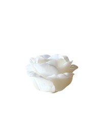 Rose Candle, Ivory