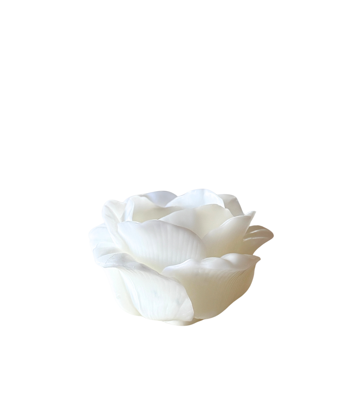 Rose Candle, Ivory
