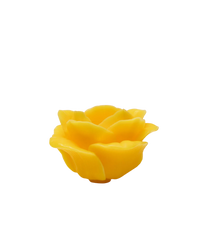 Rose Candle, Canary