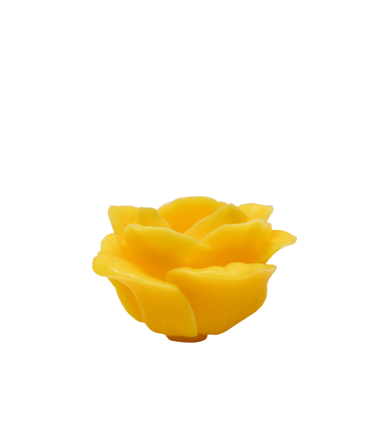 Rose Candle, Canary