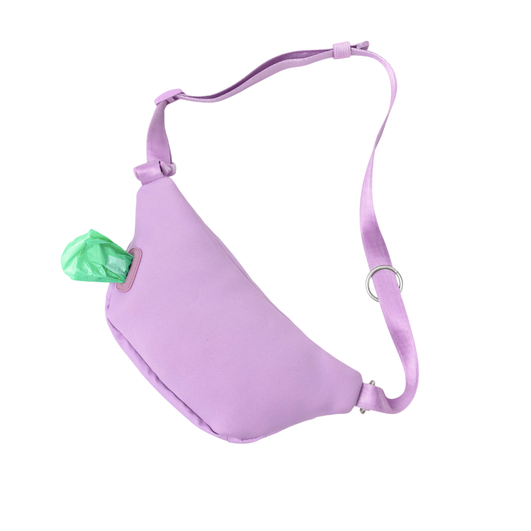 Hands-Free Dog Walking Bag