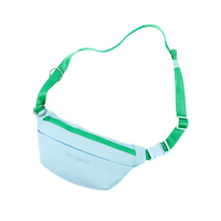 Hands-Free Dog Walking Bag