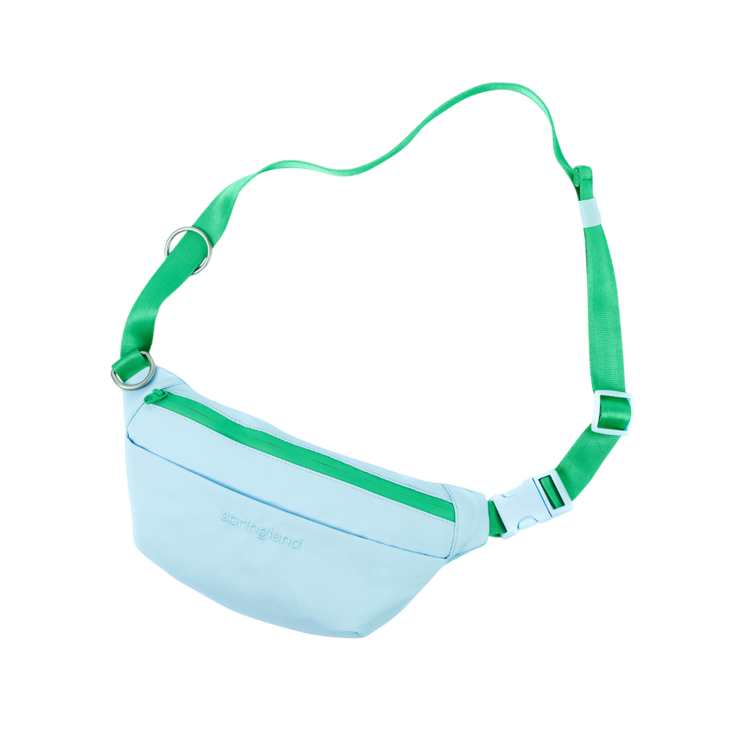 Hands-Free Dog Walking Bag