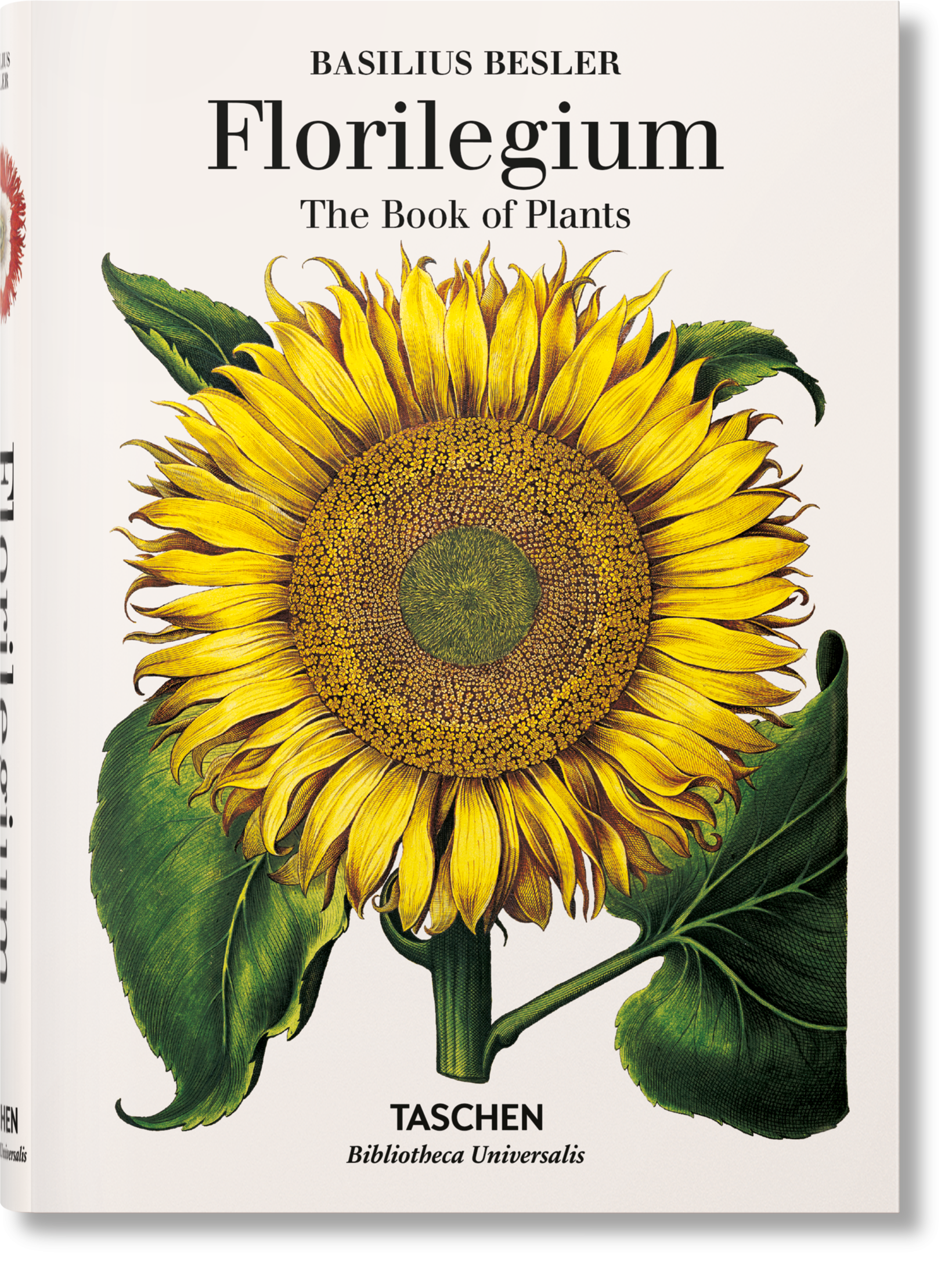 Basilius Besler. Florilegium. The Book of Plants (English)
