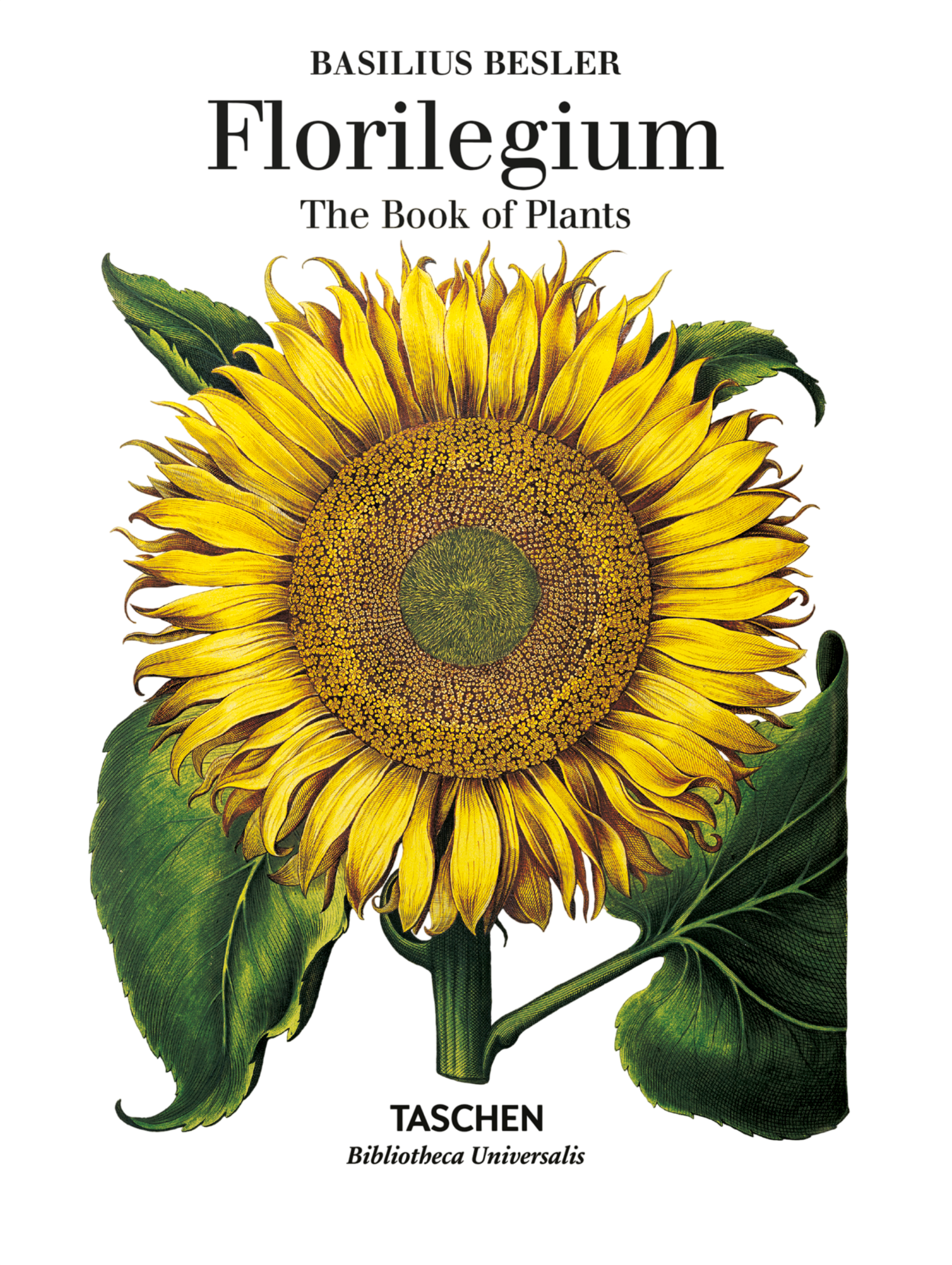 Basilius Besler. Florilegium. The Book of Plants (English)