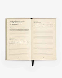 The Three Question Journal - Linen