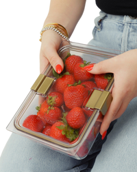 THE FOOD CONTAINER