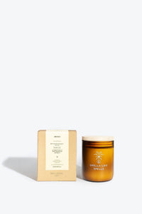 Bragi | Scented Jar Candle | Norse Magic | Vision