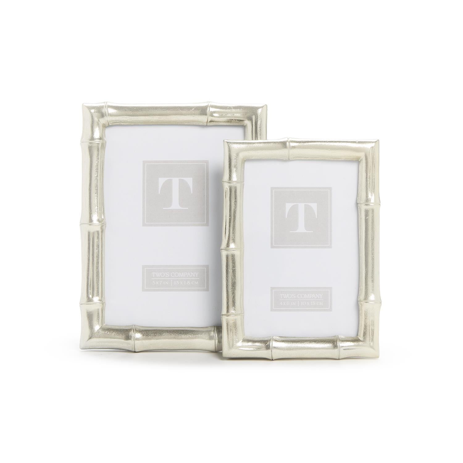 Silver Faux Bamboo Photo Frames (Set of 2)