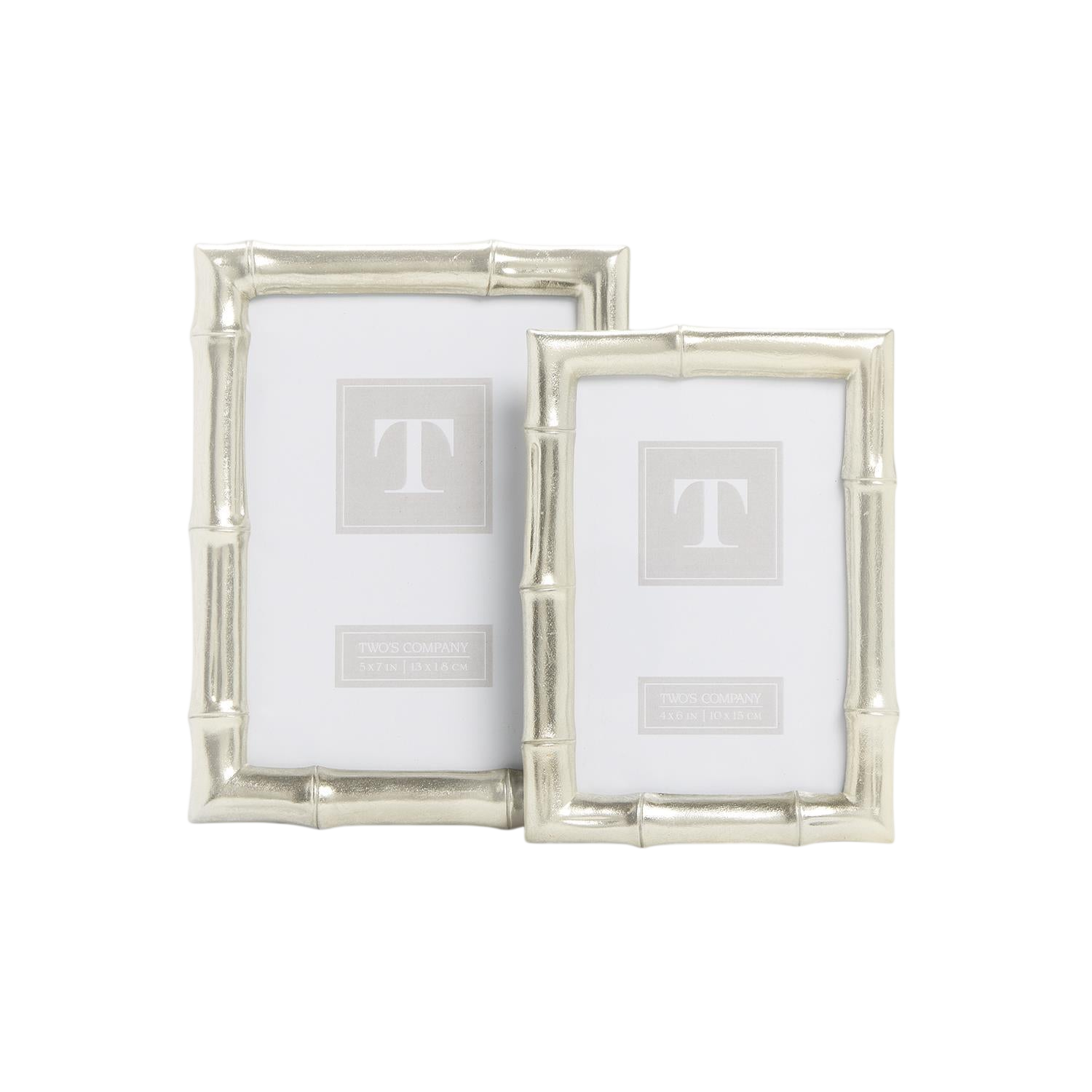 Silver Faux Bamboo Photo Frames (Set of 2)