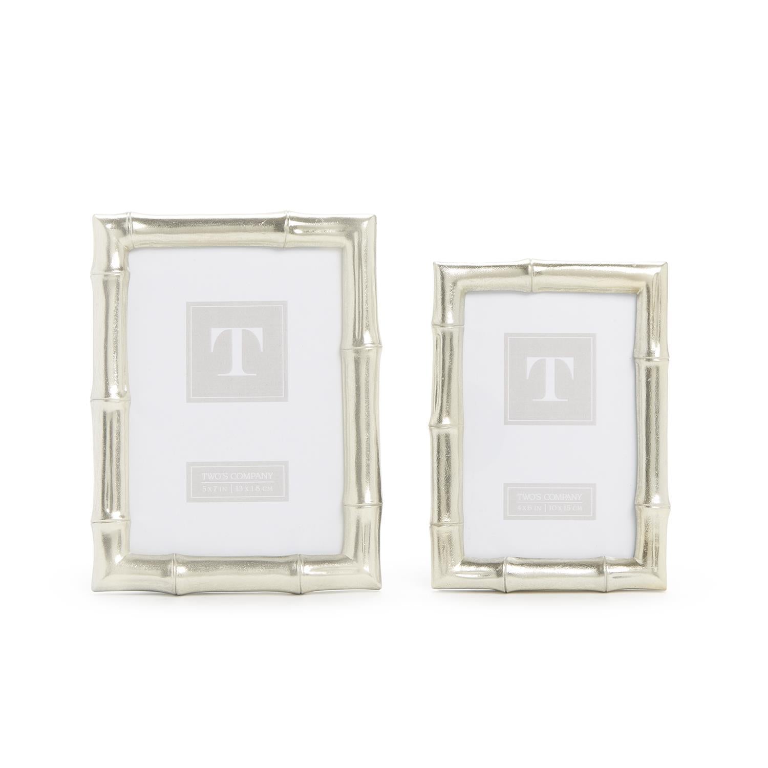Silver Faux Bamboo Photo Frames (Set of 2)