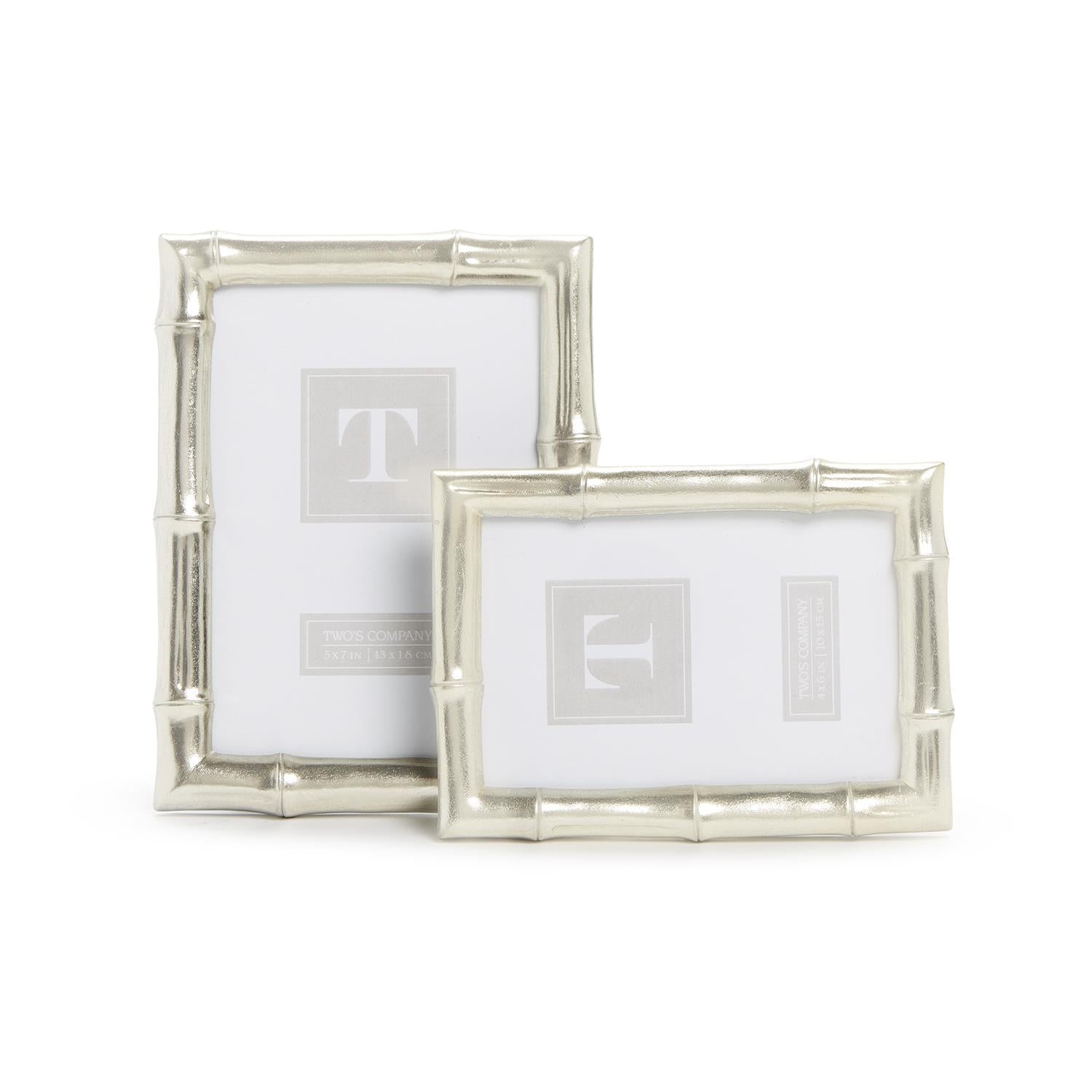 Silver Faux Bamboo Photo Frames (Set of 2)