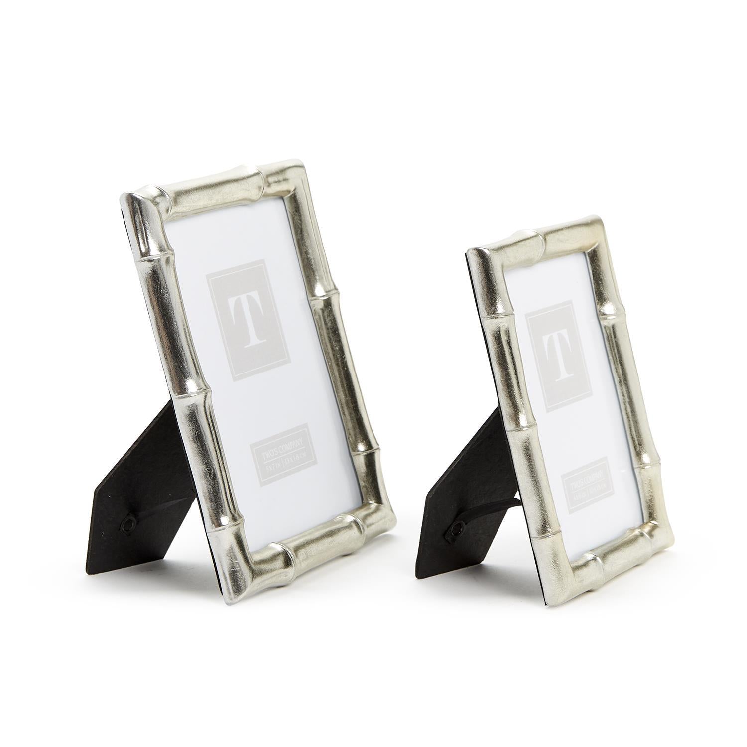 Silver Faux Bamboo Photo Frames (Set of 2)