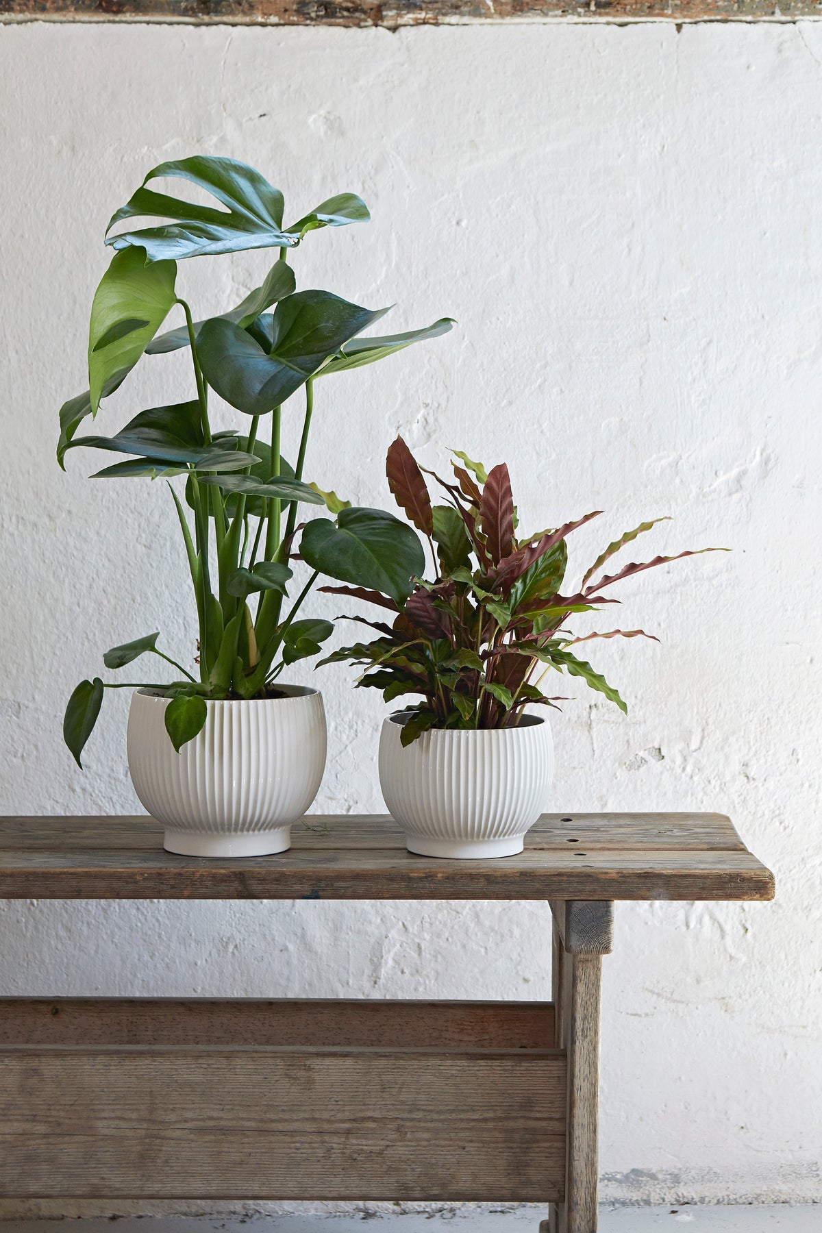 Knabstrup Flowerpot with Grooves, White