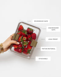 THE FOOD CONTAINER