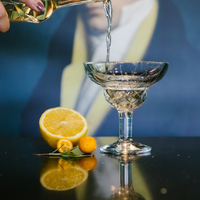 Chicago Cocktail Glass – Set of 6