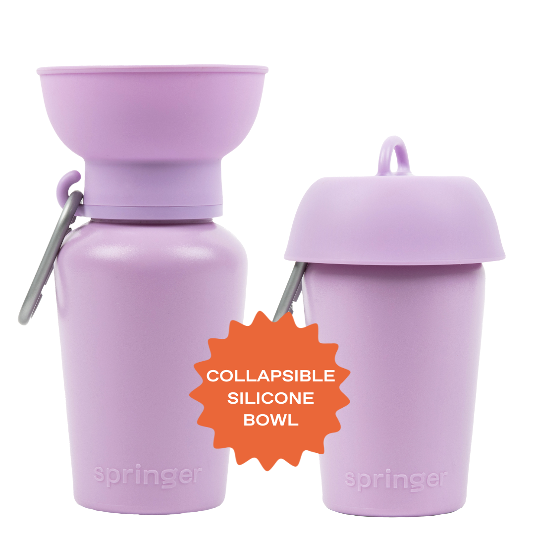 20oz Flip Dog Travel Water Bottle
