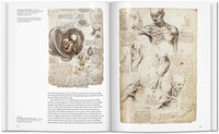 Leonardo (English)