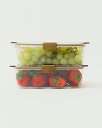 THE CONTAINER - 2 SET